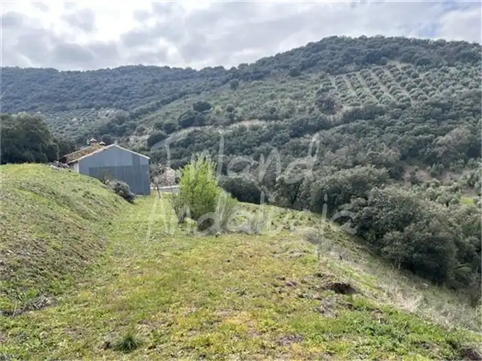 Casa rustica in vendita a Alcalá la Real, imagen 12