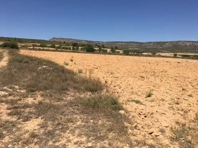 Terrain rustique à vendre à Almansa, imagen 4