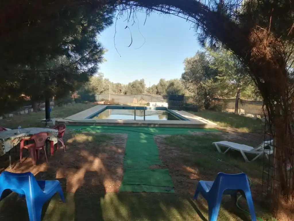 Casa rústica amb piscina en venda a Argamasilla de Calatrava, imagen 5