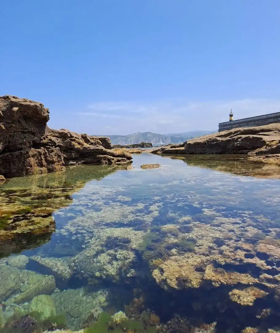 Piscina de Piso en venta en Ruiloba con Jardín privado y Terraza
