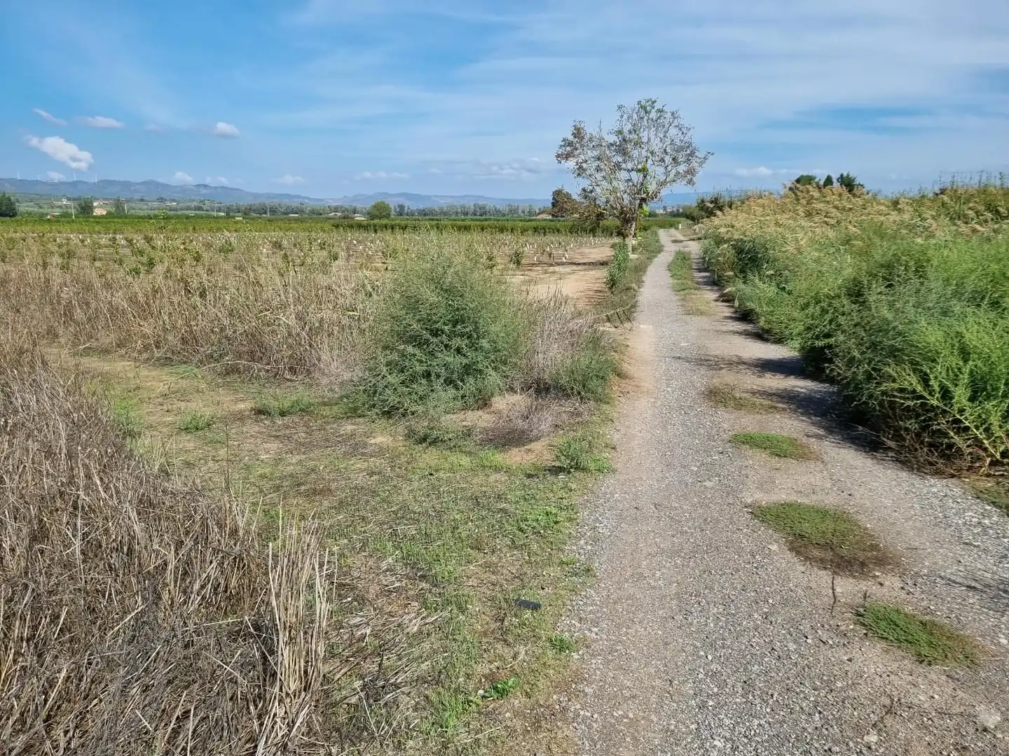 Residential zum Verkauf in Ginestar, Tarragona