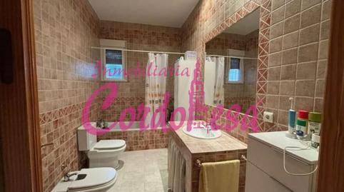 Foto 4 de Finca rústica en venda a Casco Histórico  - Ribera - San Basilio,  Córdoba Capital