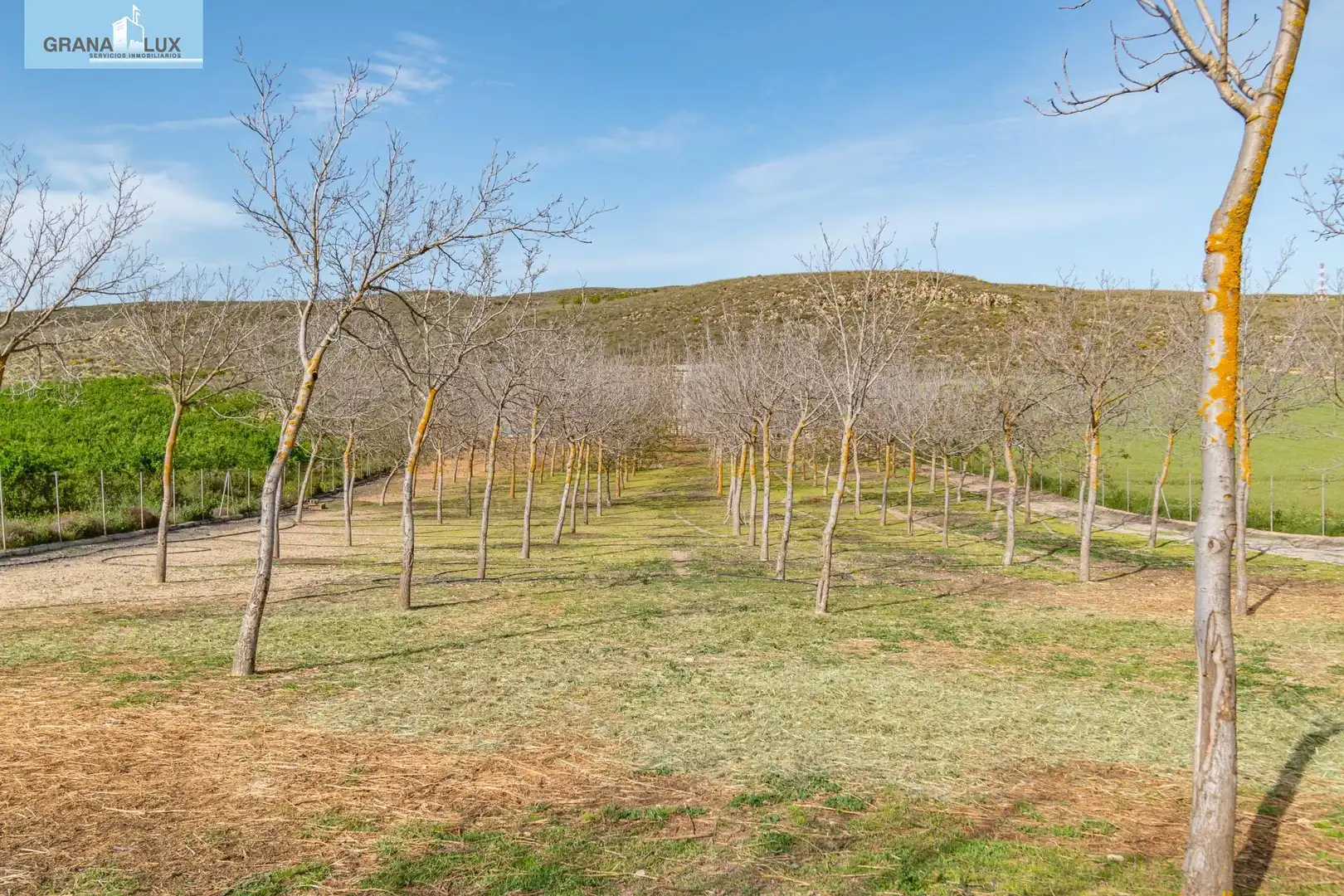 Rural land for sale in 18640, imagen 37