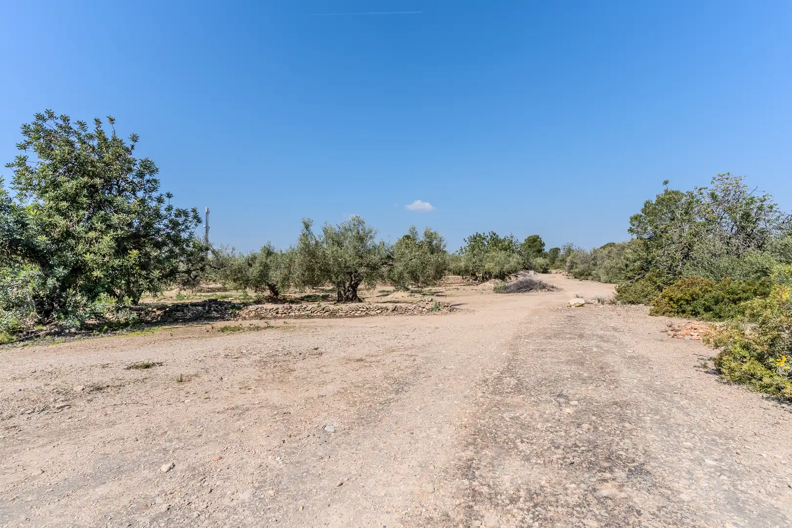 Land for sale in El Perelló