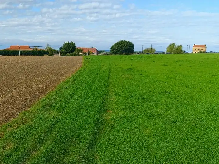 Land for sale in Ribamontán al Mar