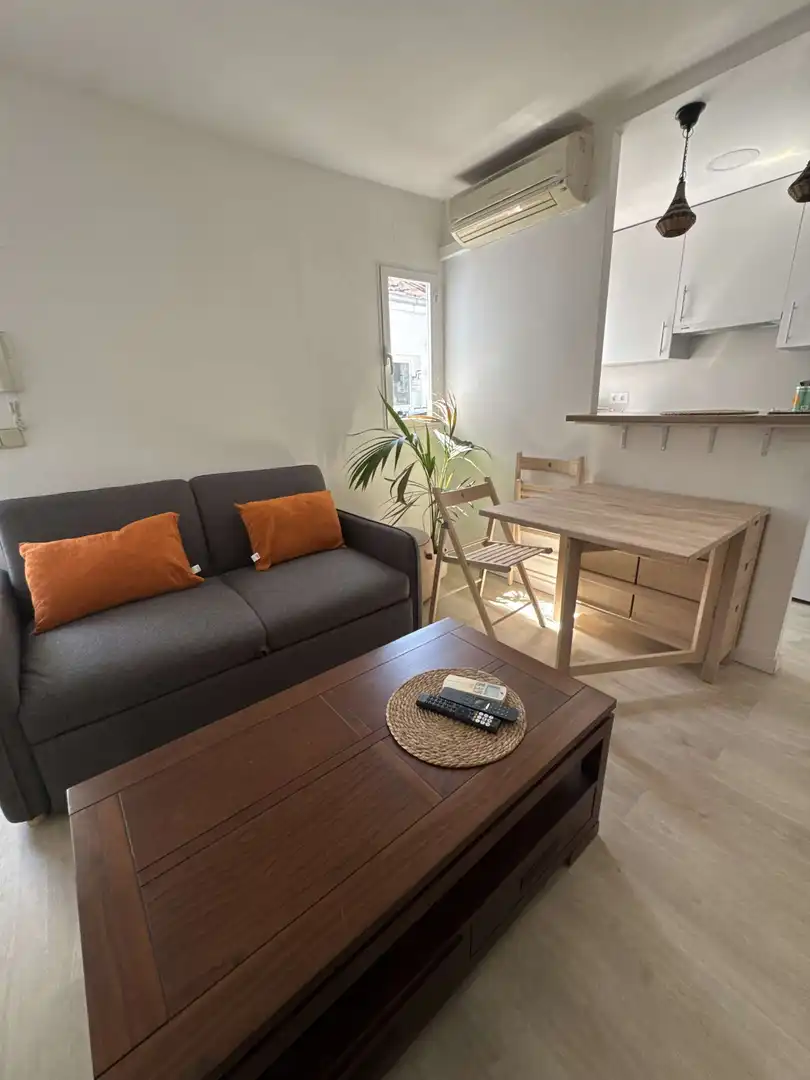 Living room of Apartments for share in Madrid  with Air Conditioner, Heating and Terrace