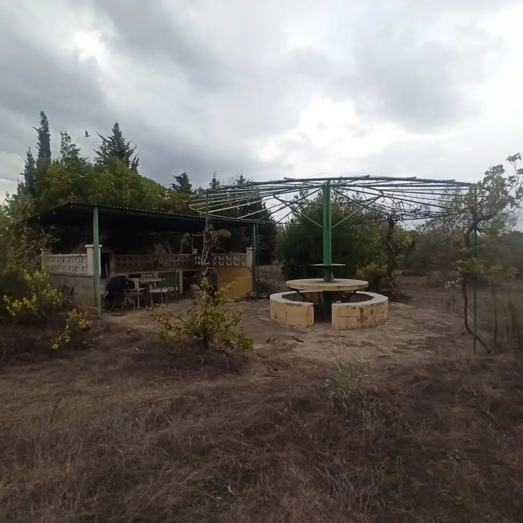 Finca rústica en venta en La Selva del Camp