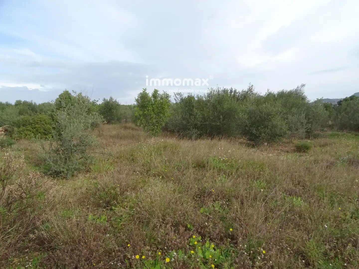 Terrain résidentiel à vendre à 16, imagen 8