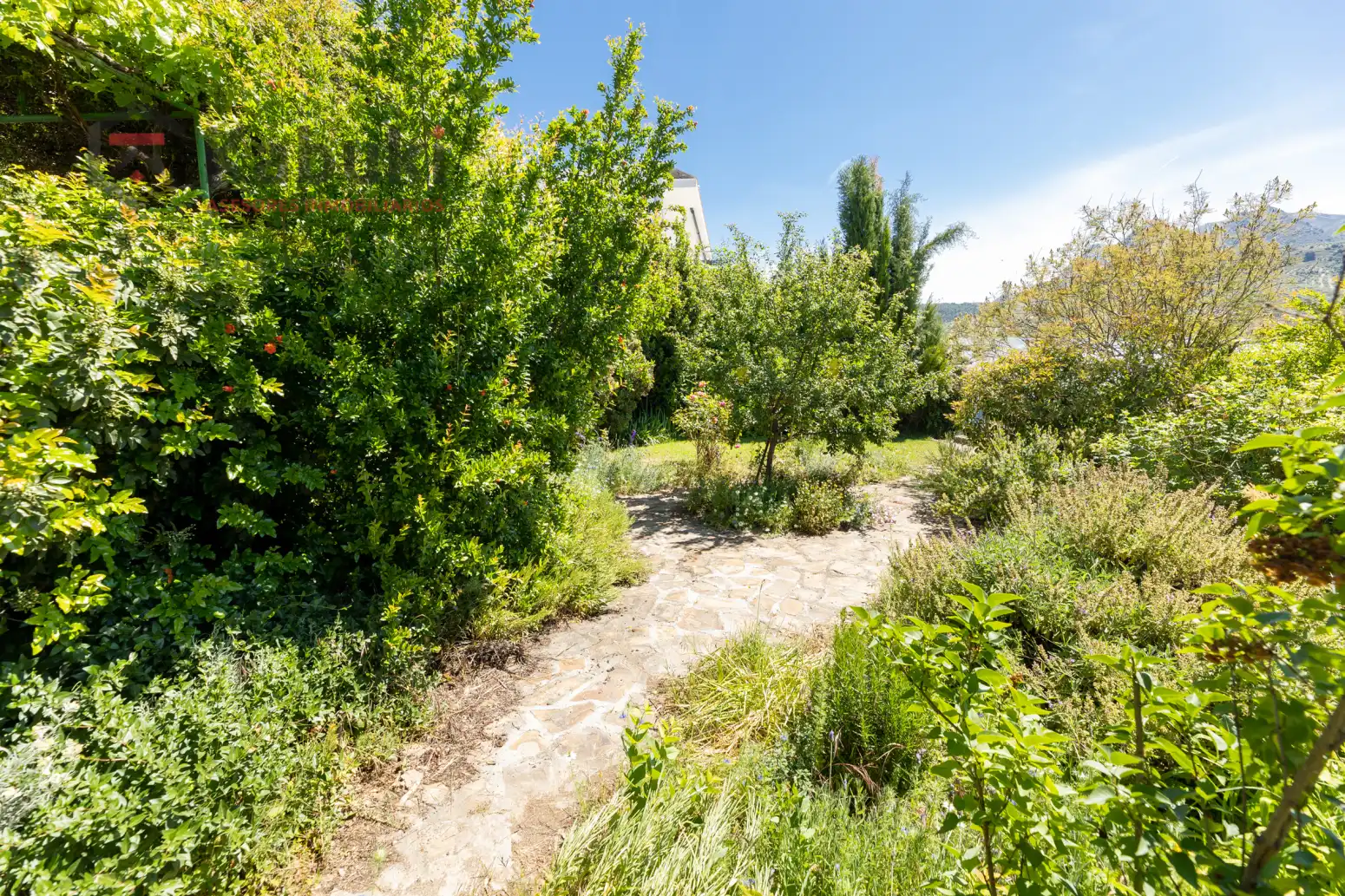 Jardín de Casa o chalet en venta en Deifontes con Calefacción, Jardín privado y Piscina