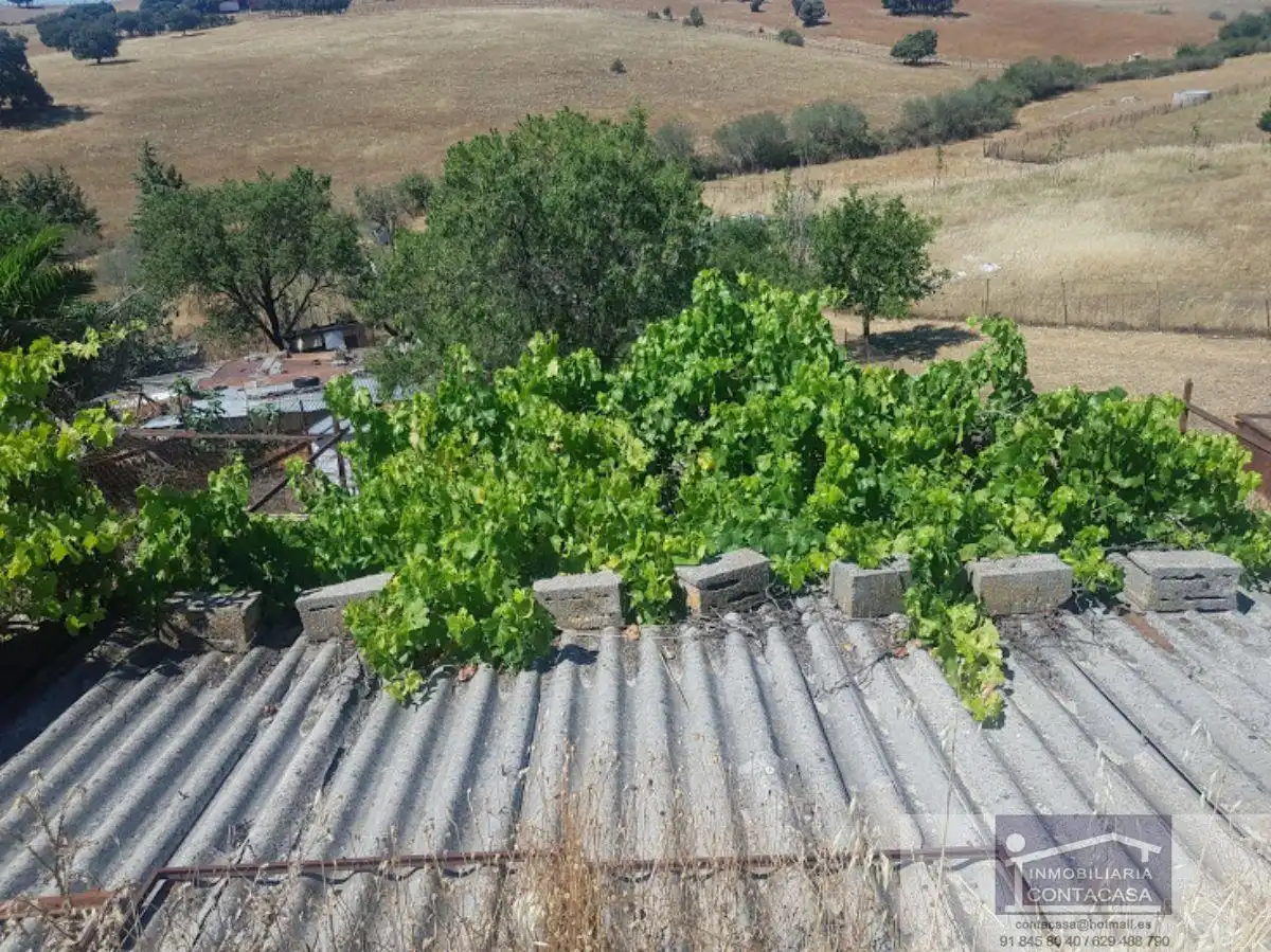 Jardín de Finca rústica en venta en Los Rábanos  