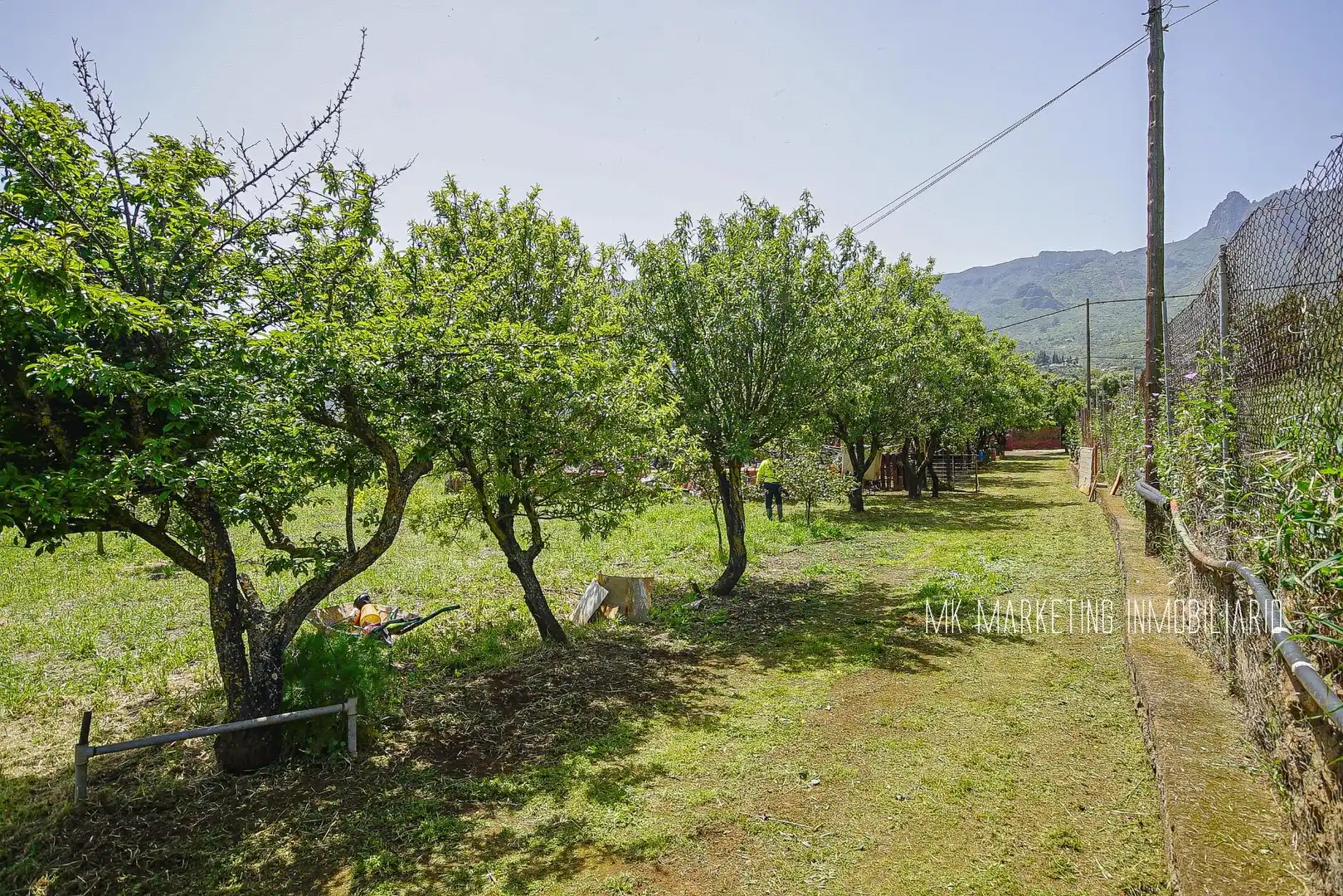 Finca rústica en venda en Valsequillo de Gran Canaria amb Aire condicionat, Terrassa i Piscina