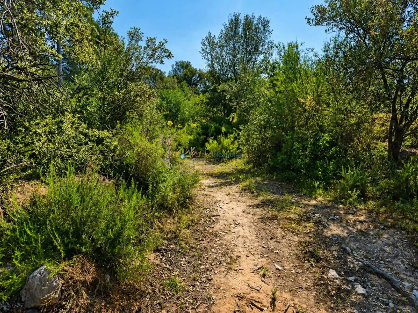 Terreno en venta en Bellús