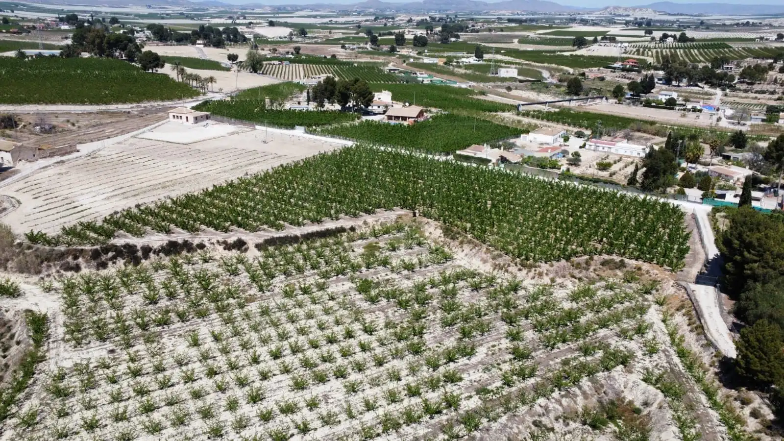 Terreno rústico en venta en Cieza, imagen 2