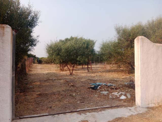 Terreno residencial en Venta en Los Caños de Meca