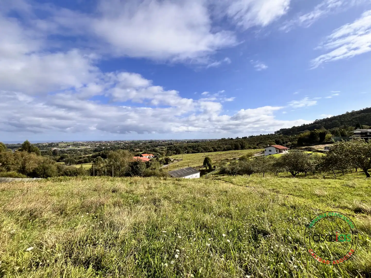 Terreny residencial en venda a Peón - Coto de la Castañera, Curviellu S/N, imagen 4