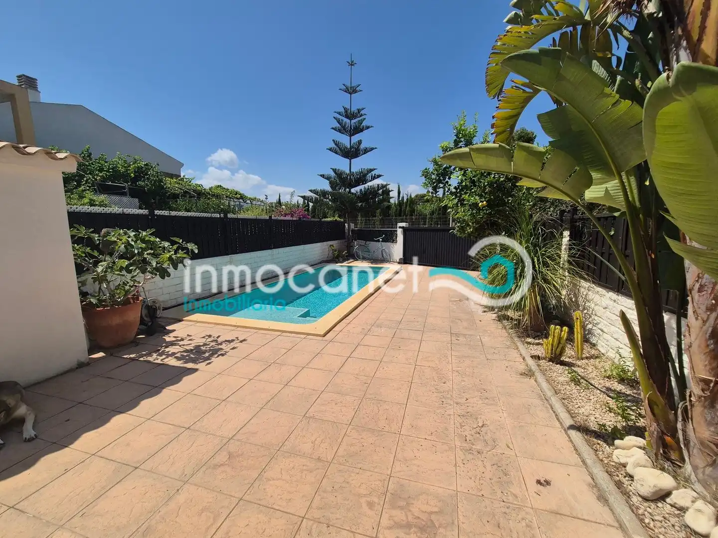 Piscina de Casa adosada en venda en Oliva amb Jardí privat, Terrassa i Piscina
