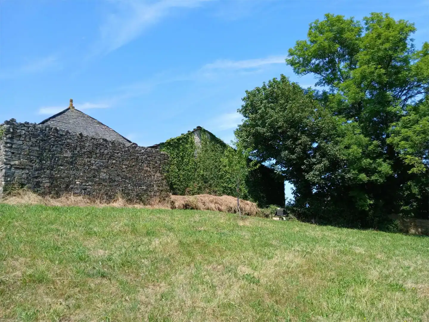 Finca rústica en venda en A Fonsagrada 
