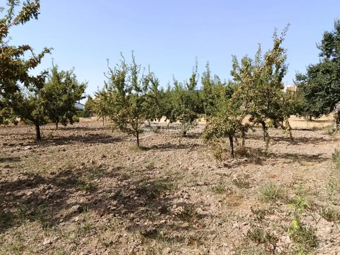Wohnbaugrundstück zum Verkauf in Gójar, imagen 5
