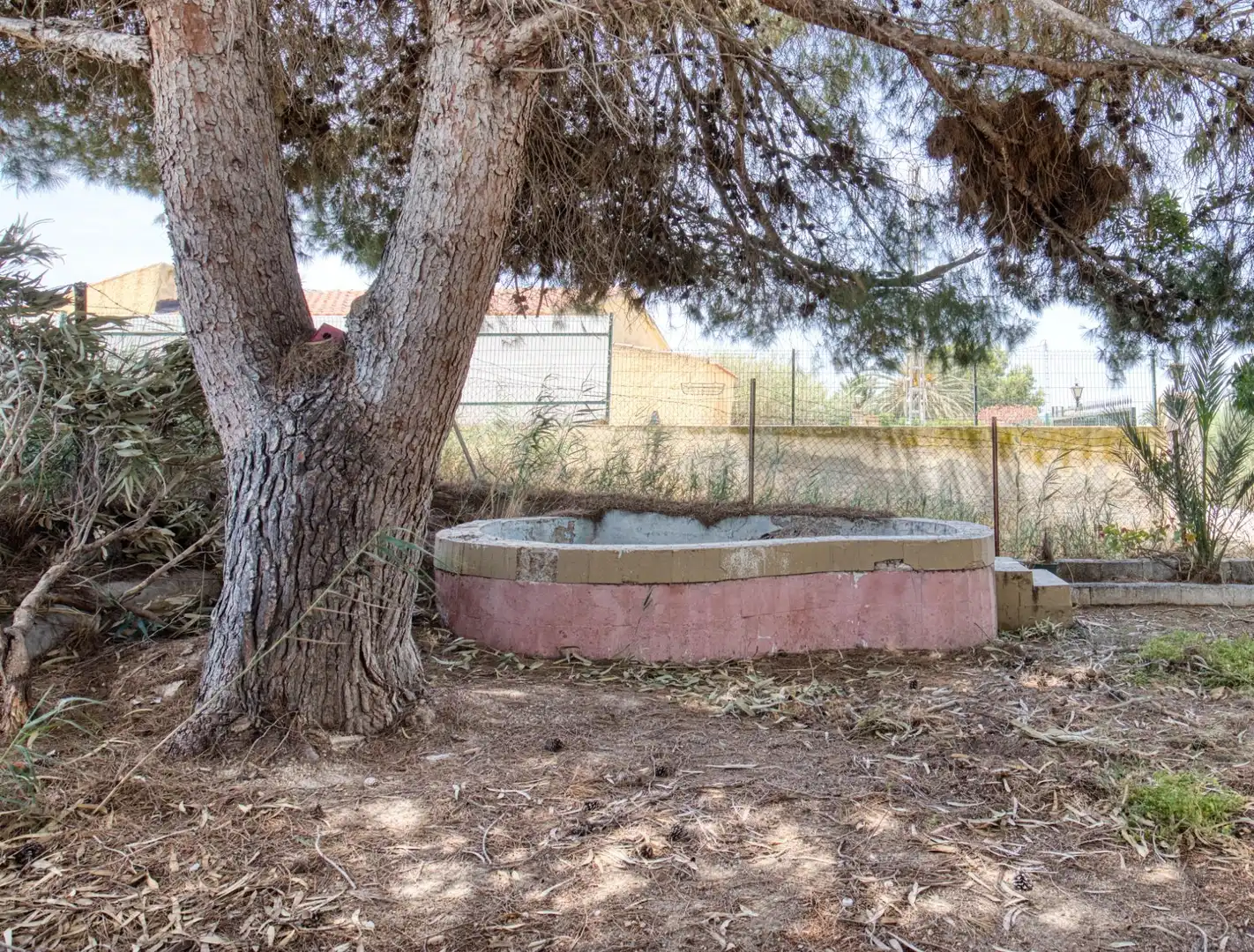 Jardín de Finca rústica en venta en Elche / Elx con Jardín privado, Terraza y Trastero