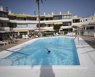 Piscina de Estudi de lloguer en San Bartolomé de Tirajana amb Terrassa