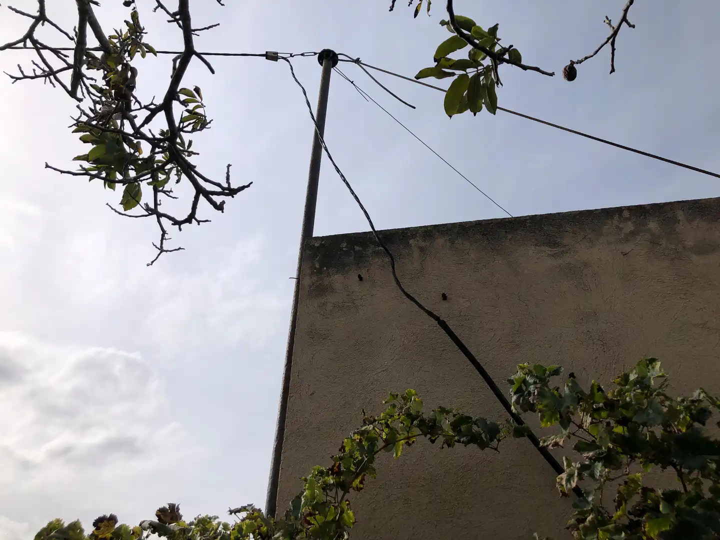 Terreno rústico en venta en Partida Alborada 1, imagen 6