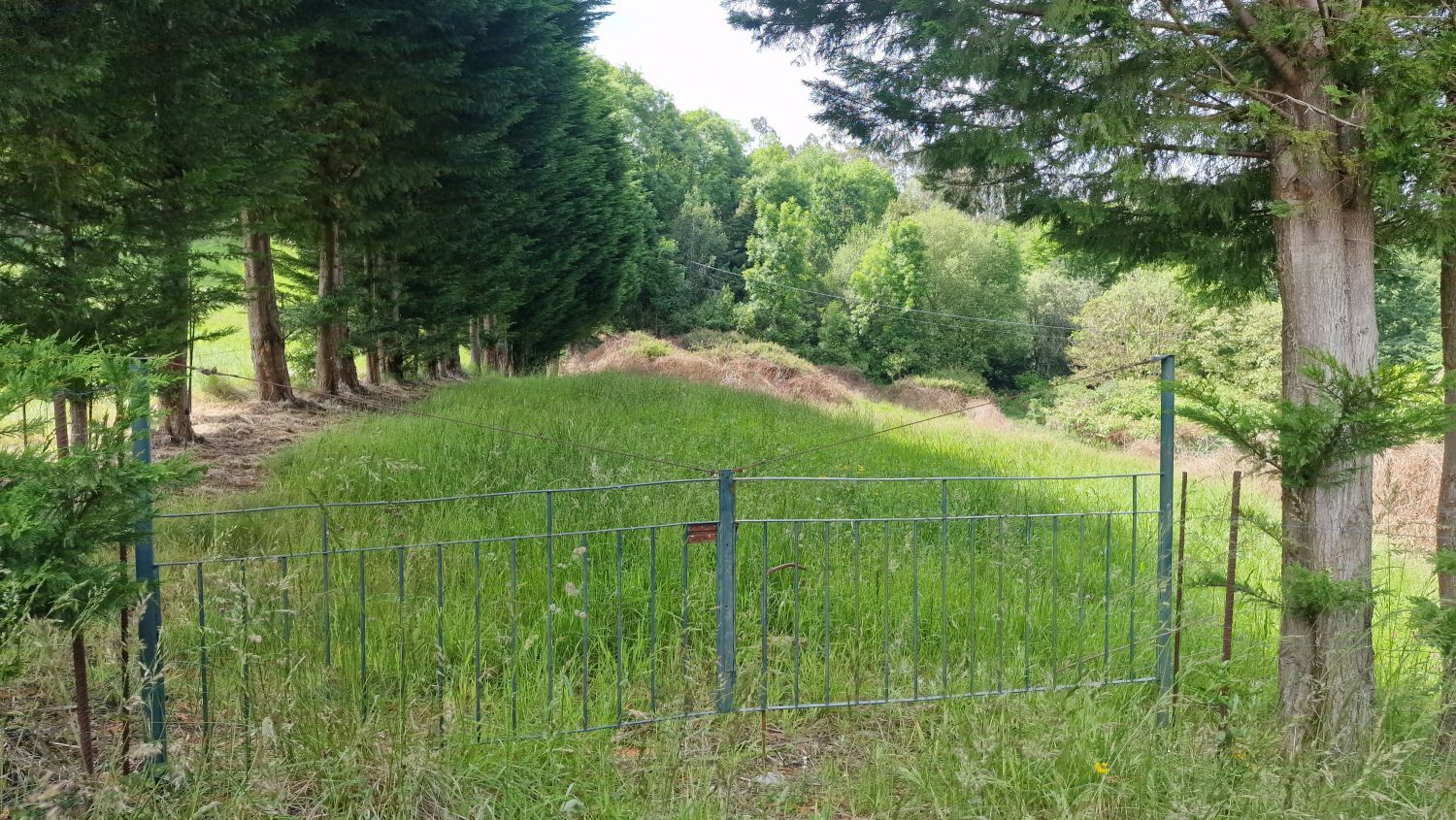 Finca rústica en venda en Udías