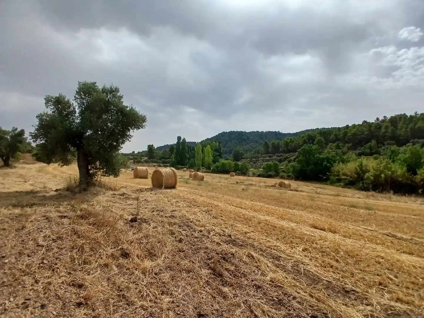 Terreno rustico in vendita a La Fresneda, imagen 11