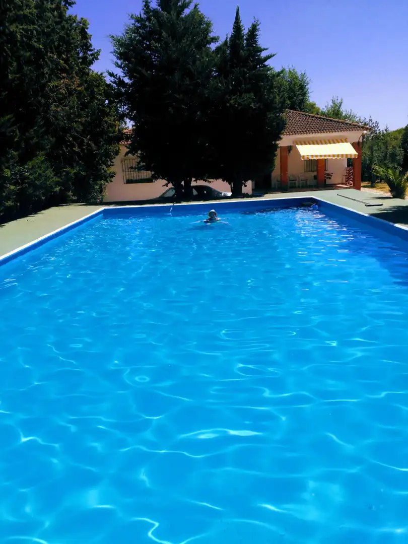 Chalet con piscina en venta en Camino las Encinas, imagen 7
