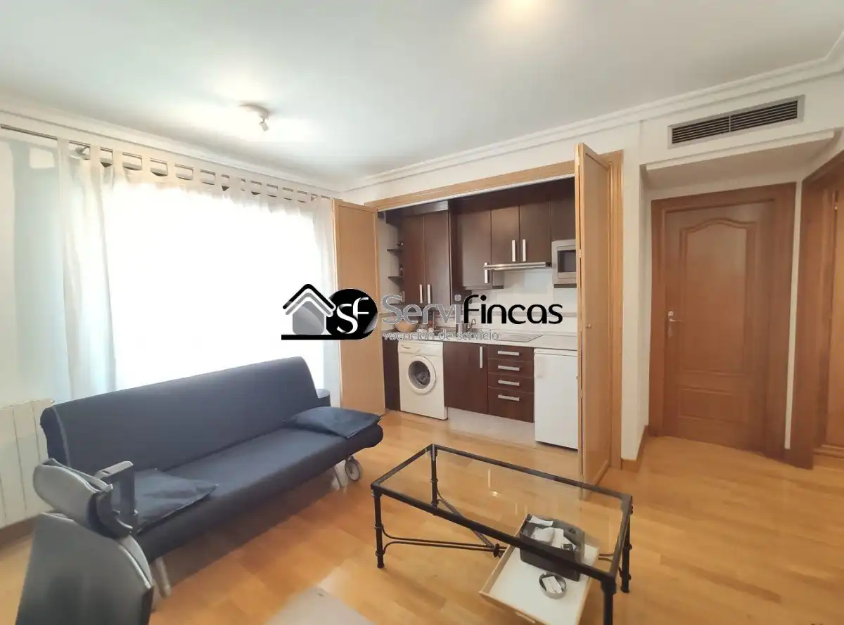Sala de estar de Piso de alquiler en Madrid con Aire acondicionado, Calefacción y Trastero