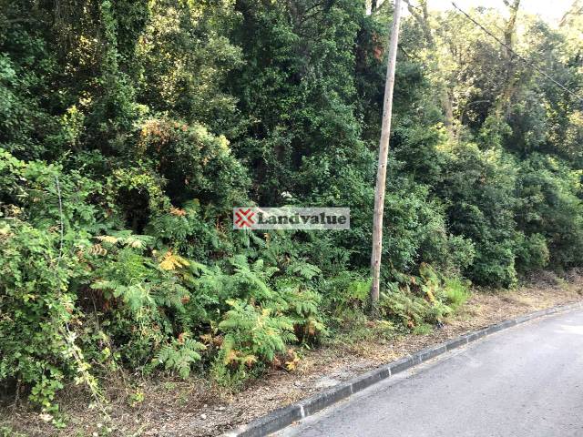 Terreno residencial en Venta en Roble, 9 en Mas Pere - Río de Oro