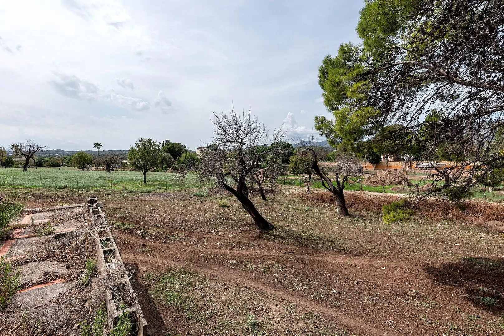 Country homes for sale in Campanet  with Private garden