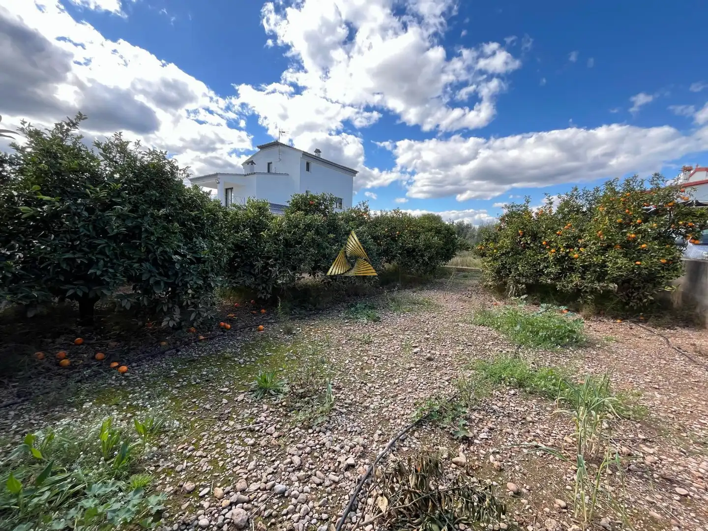 Terrenos y solares en venta en Pueblo, imagen 14