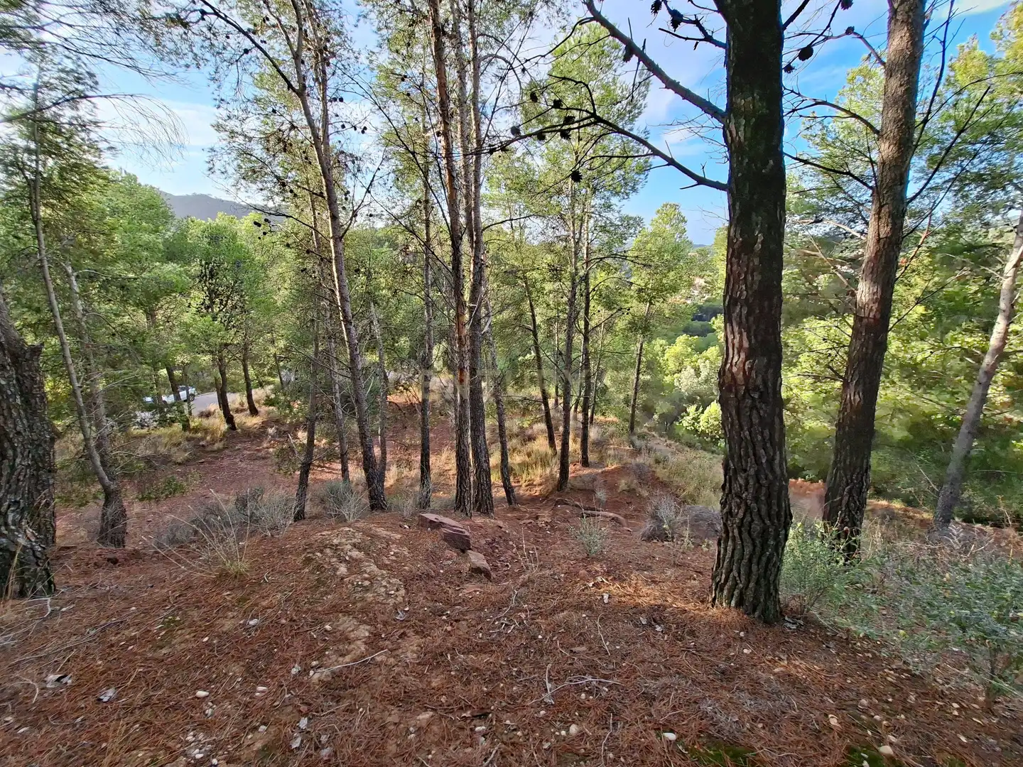 Wohnbaugrundstück zum Verkauf in 46118 Serra, Spain, imagen 18