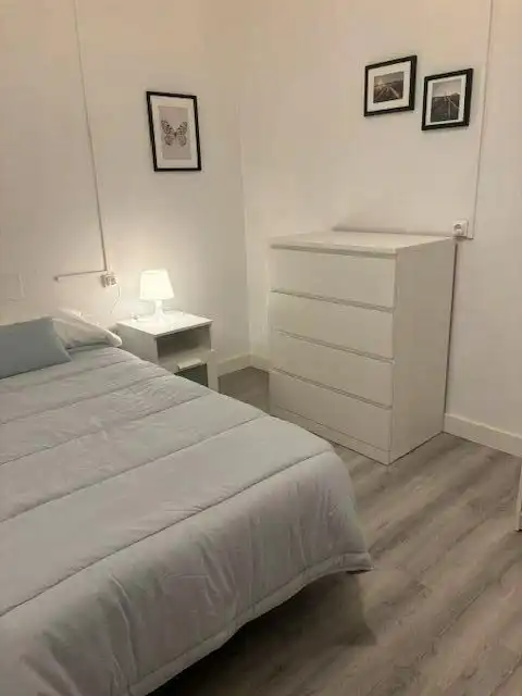 Pis de lloguer a Centro