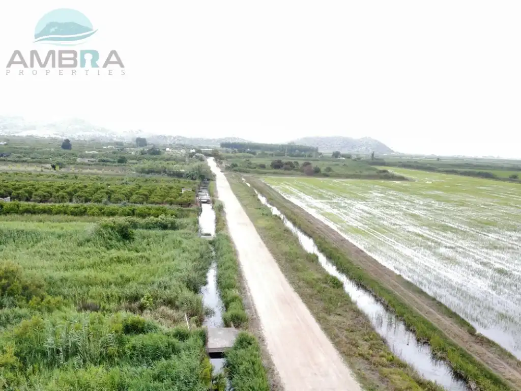 Nave industrial en venta en Pego