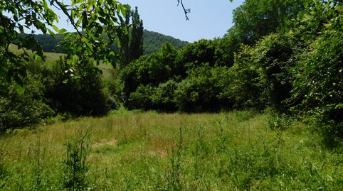 Imatge 5 de l'anunci