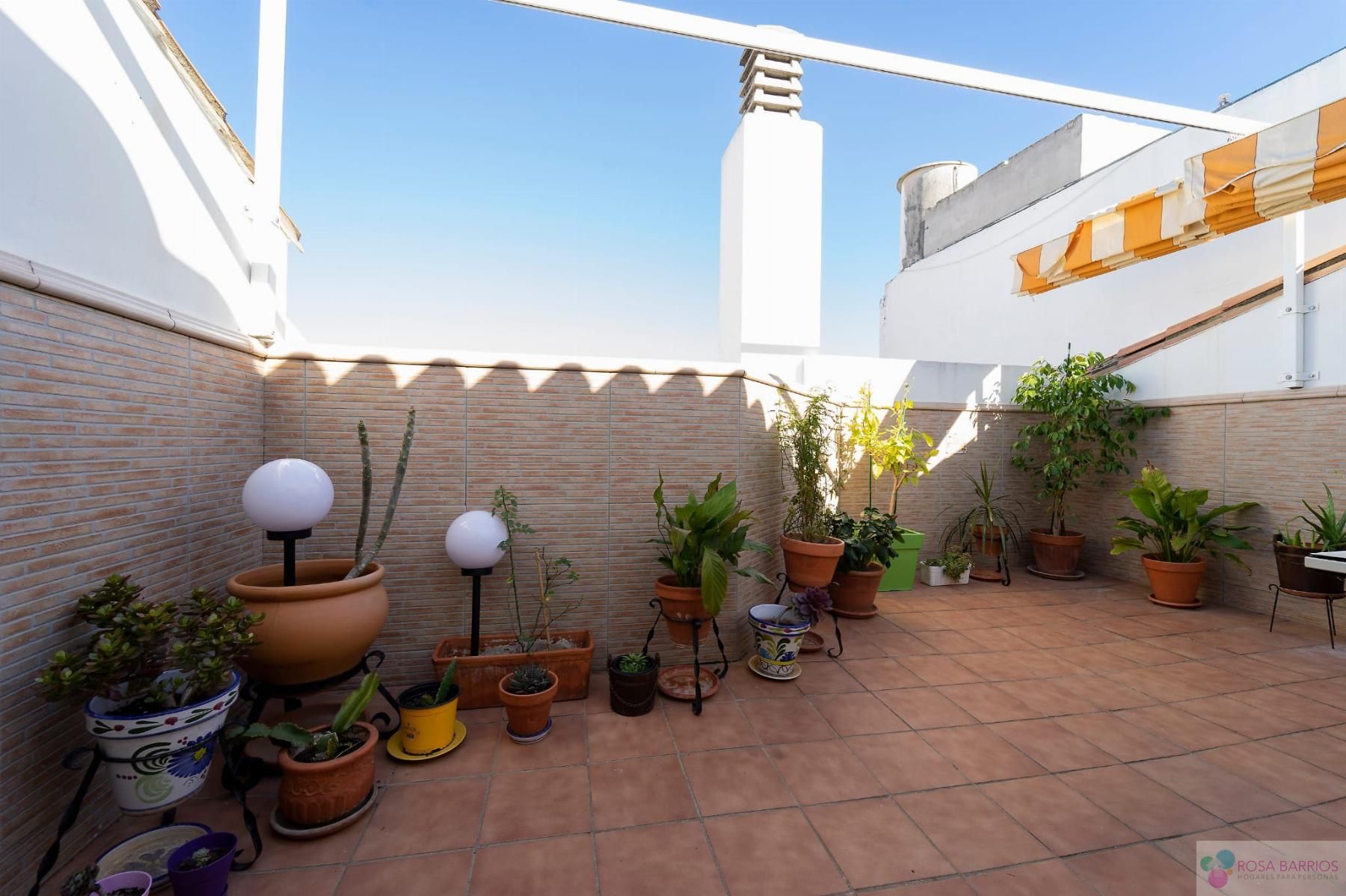 Àtic de lloguer a San Pedro de Alcántara pueblo
