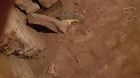 Foto 5 de Casa adosada en venda a Plaça de L'hospital, 7, Verdú, Lleida