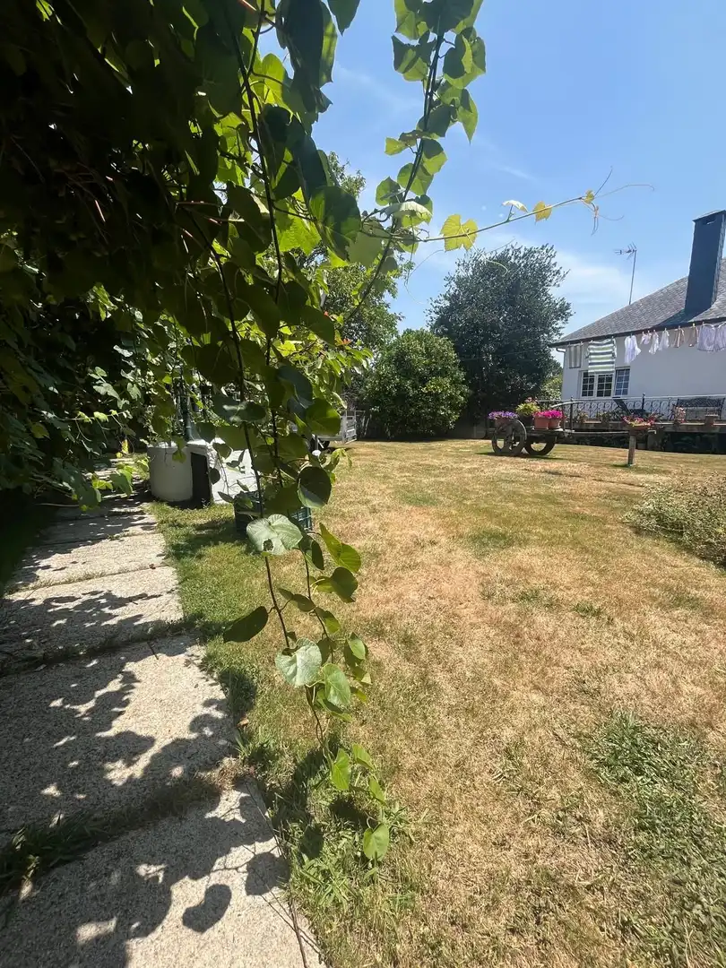 Maison à vendre à Silvas, imagen 73