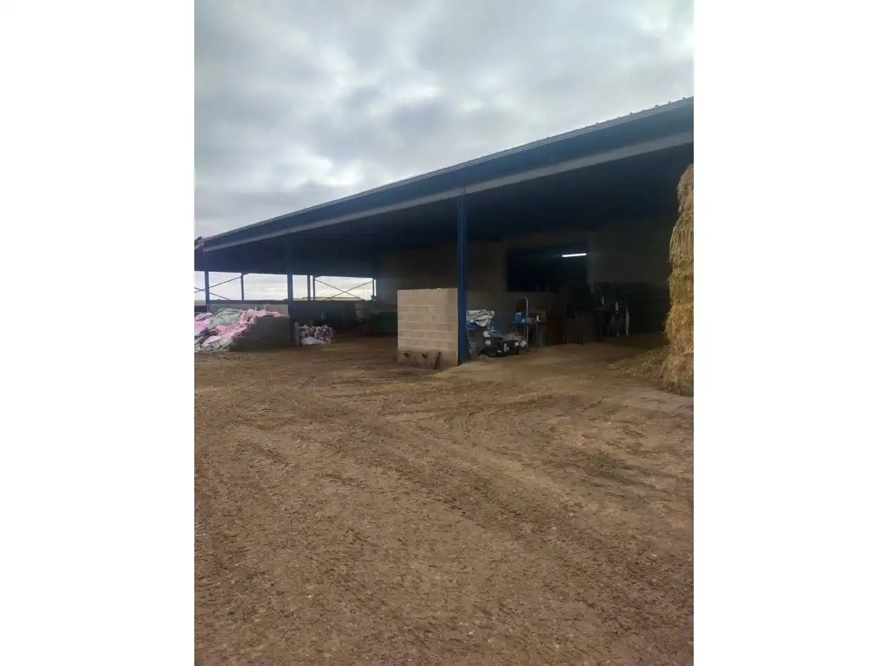 Vista exterior de Terreny en venda en Daimiel