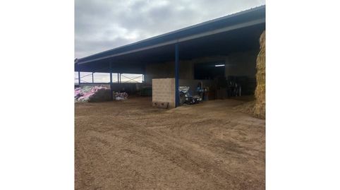Finca rustica en venta en Daimiel, imagen 3