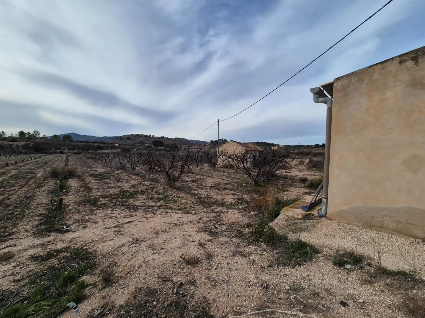 Terreny rústic en venda a Monóvar  / Monòver, imagen 2