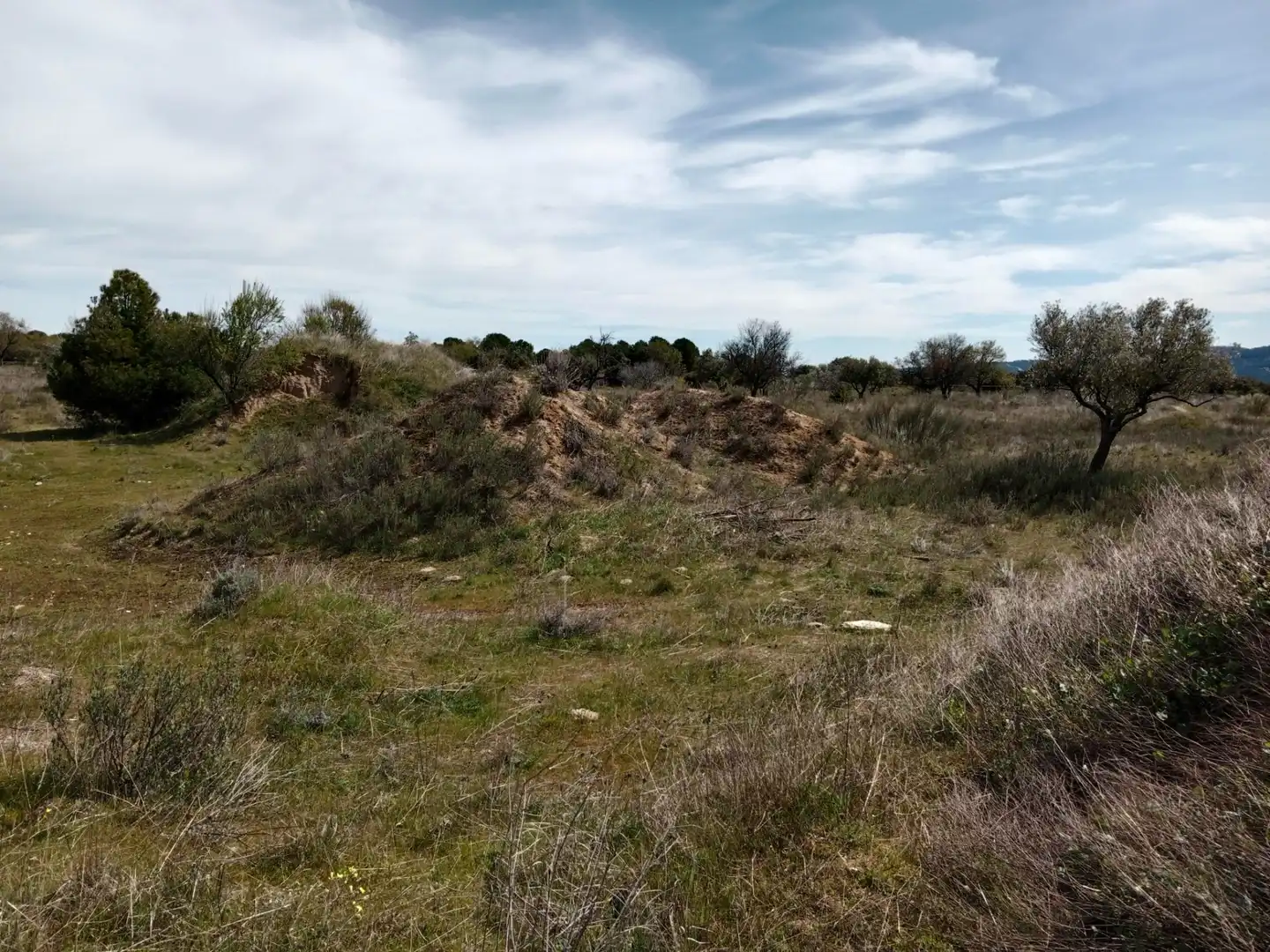 Terreno rustico in vendita a Camino Barzales, imagen 7