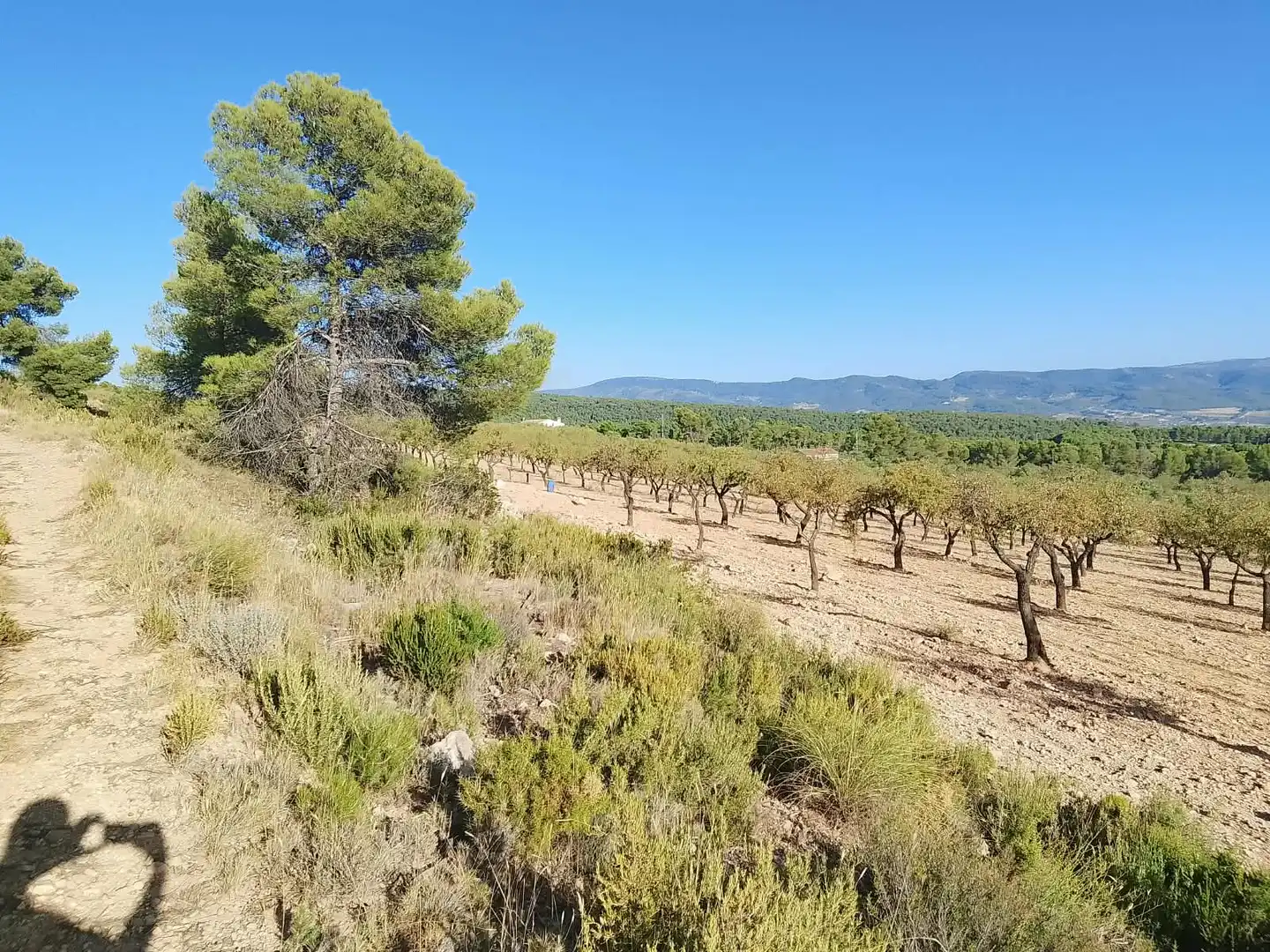 Terreny rústic en venda a N/A, imagen 41