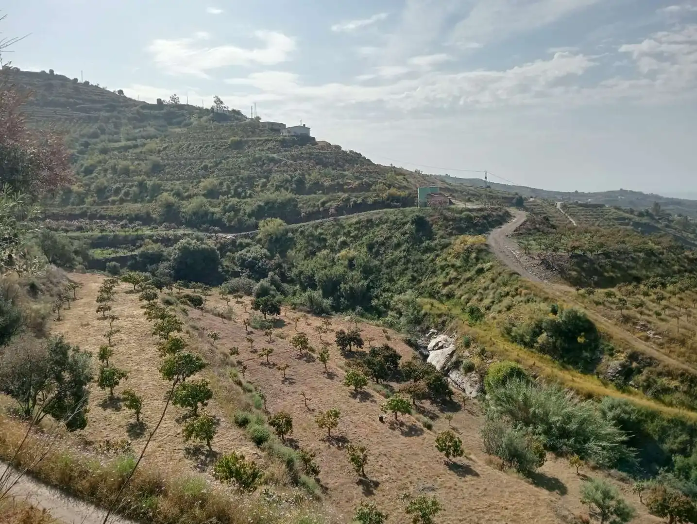 Casa rústica en venda a Vélez-Málaga ciudad, imagen 8