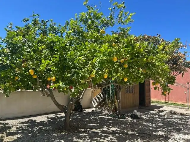Garden of Houses for sale in Llucmajor  with Air Conditioner, Heating and Private garden