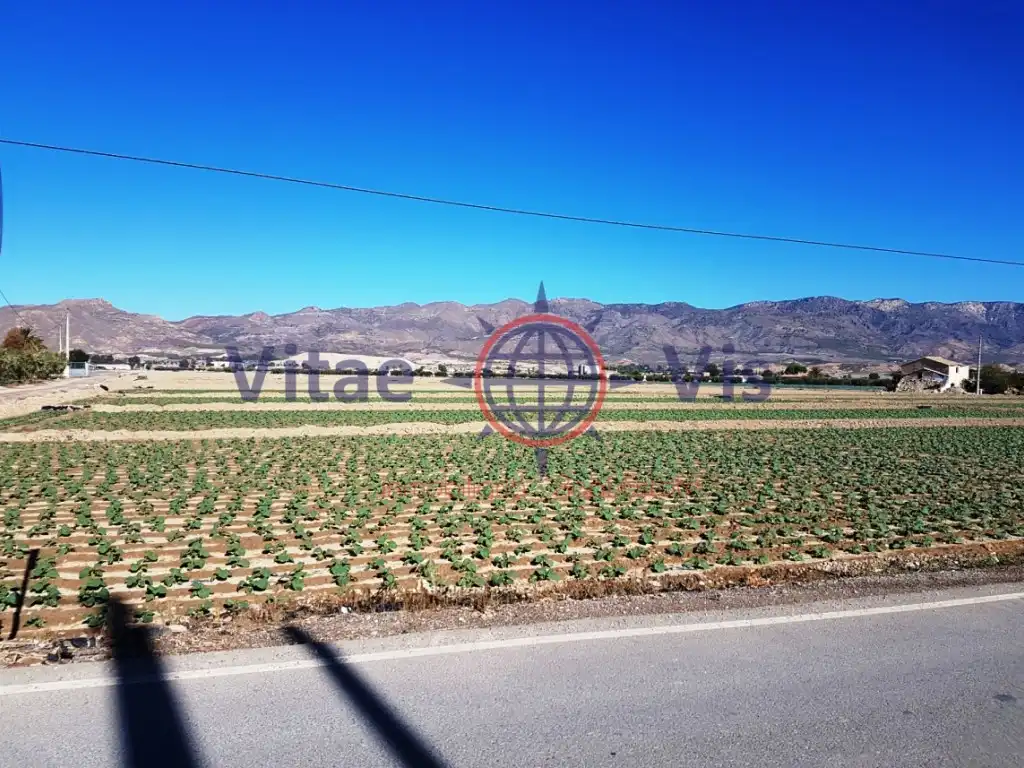 Residential land for sale in Diseminados Cazalla, imagen 3