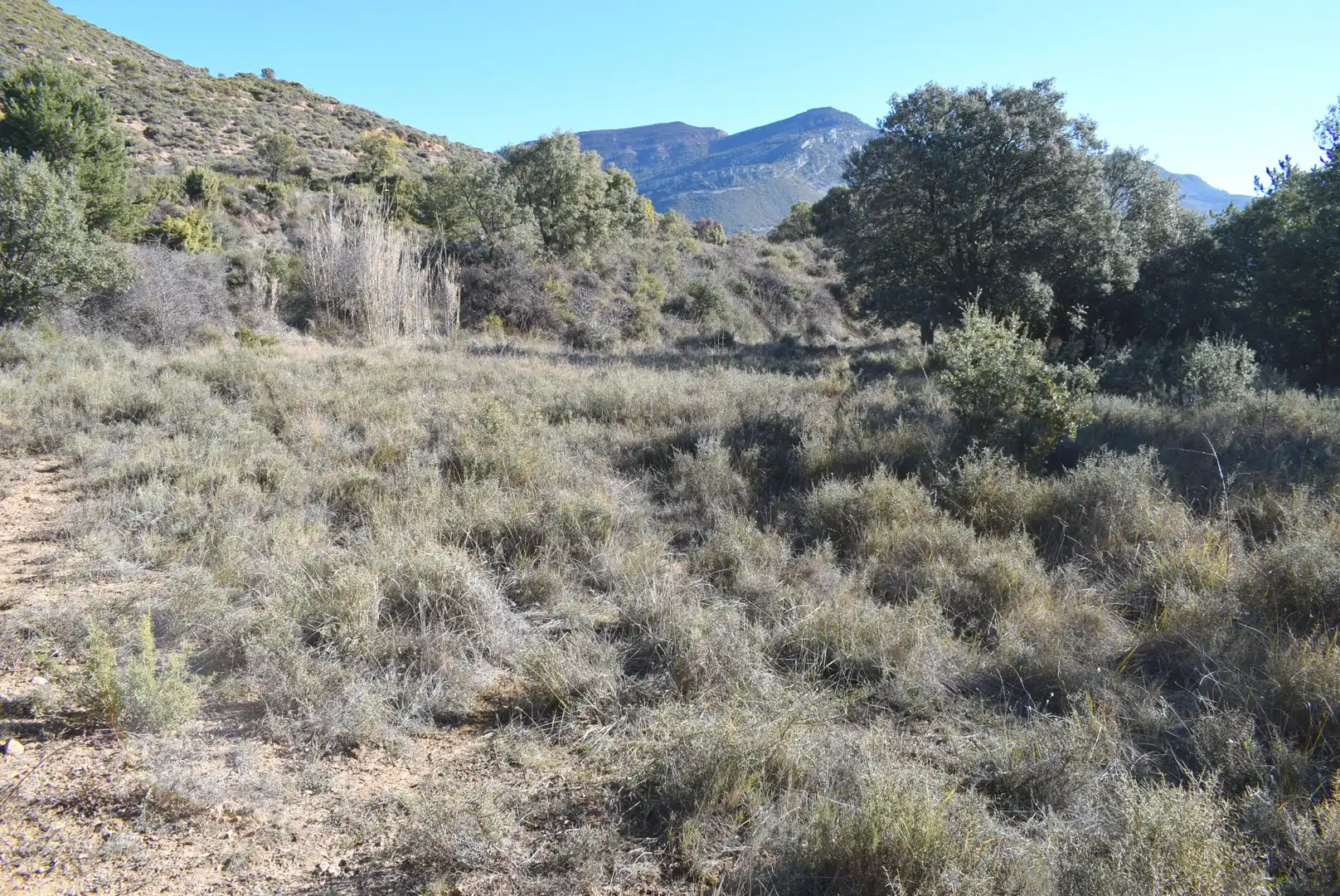 Residencial en venta en Nueno