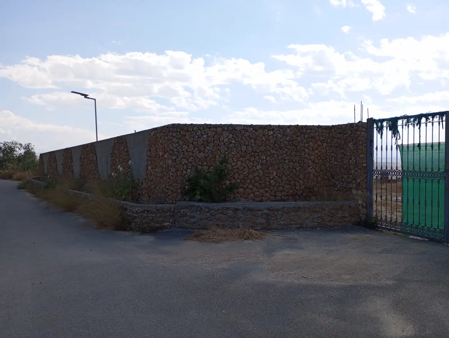 Vista exterior de Casa o xalet de lloguer en Cortes de Baza amb Moblat, Es permeten mascotes i Piscina comunitària