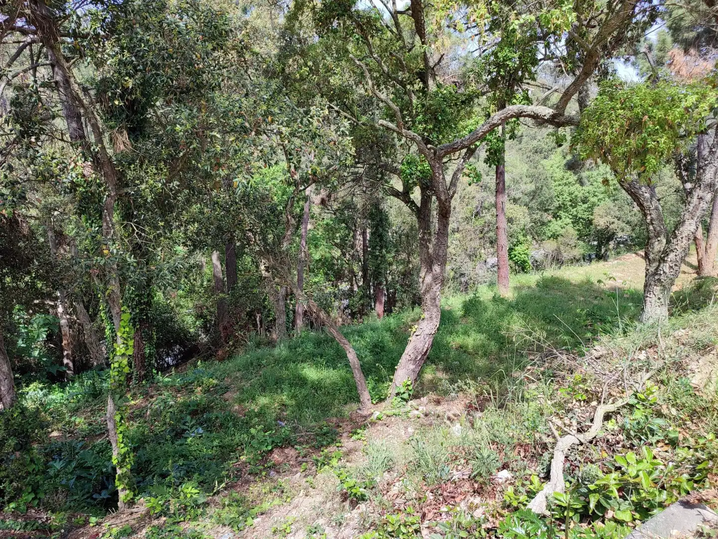 Wohnbaugrundstück zum Verkauf in Lloret Blau - La Creu de Lloret